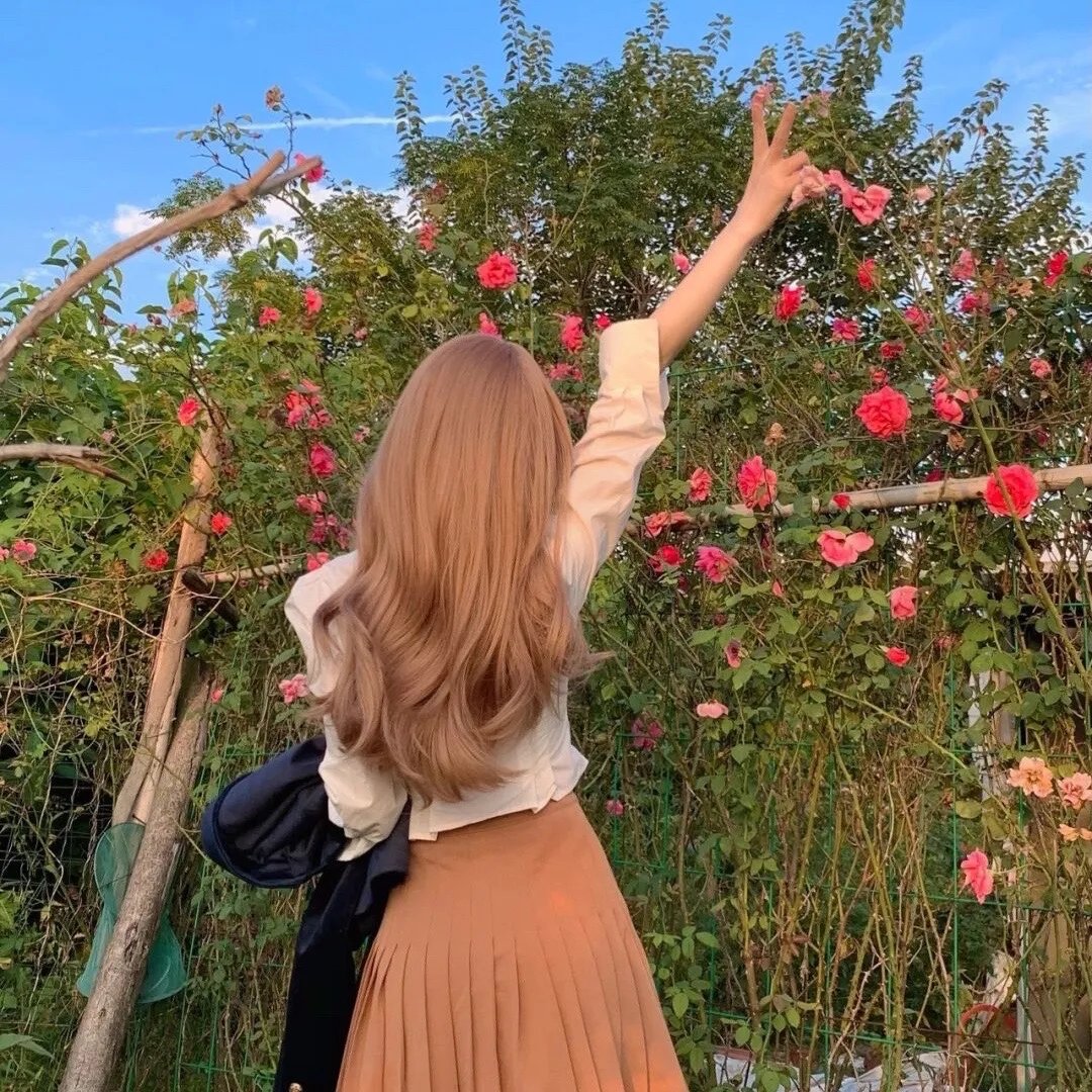桐籽花开